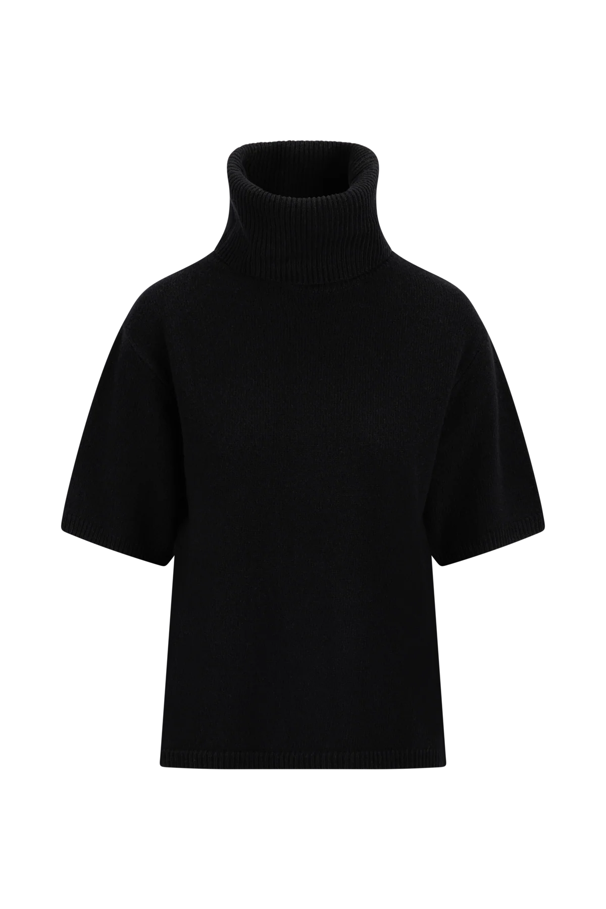 Arwyn Ss Turtleneck