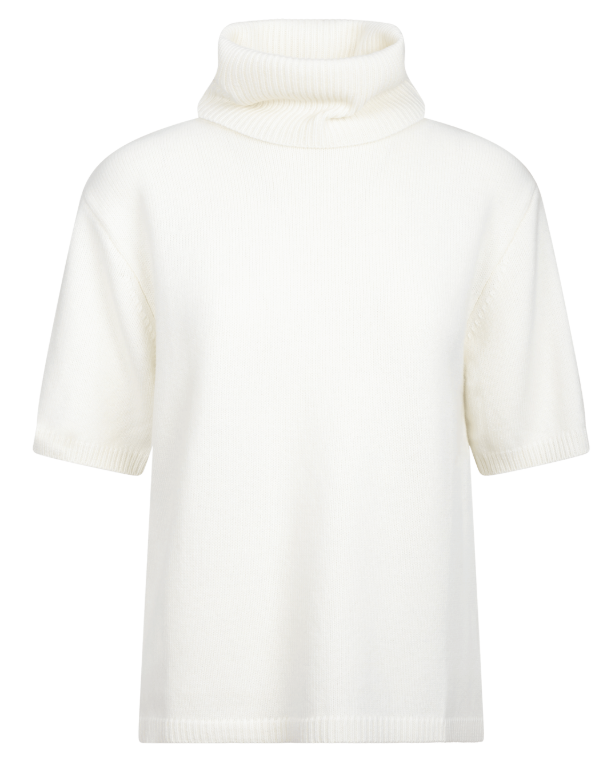 Arwyn Ss Turtleneck