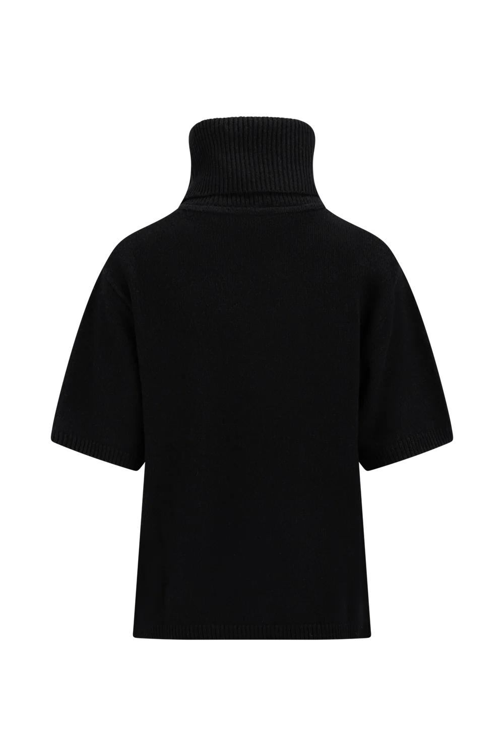 Arwyn Ss Turtleneck