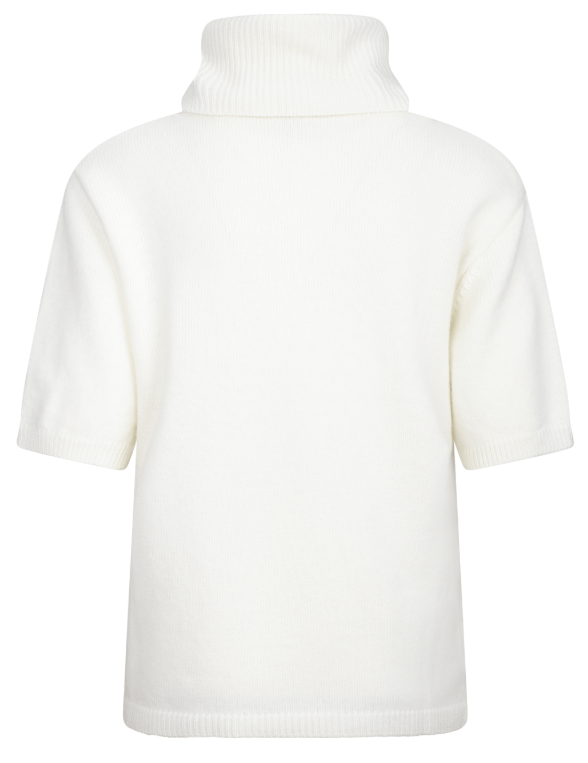 Arwyn Ss Turtleneck